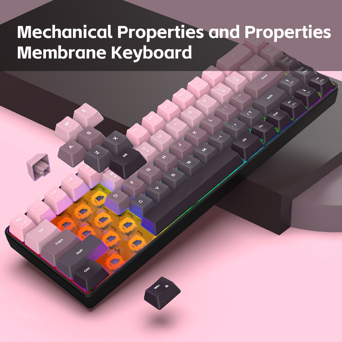 New Compact 68-Key Gradient-Co - Gaming Keyboard Ergonomics ulasan dan harga